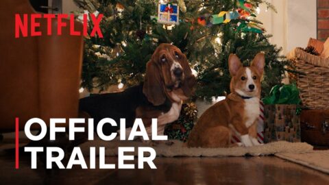 A Dog’s Perfect Christmas Fragmanı Yayınlandı! Yeni Bölümde Neler Olacak?