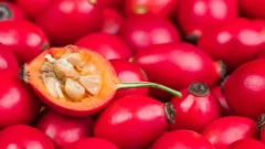 Gündemdeki konu Acerola: nedir?