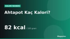 Ahtapot Kaç Kalori? 100 Gram ve 1 Porsiyon Ahtapot Besin Değerleri