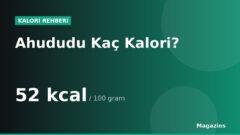 Ahududu Kaç Kalori? 100 Gram ve 1 Porsiyon Ahududu Besin Değerleri
