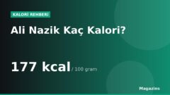Ali Nazik Kaç Kalori? 100 Gram ve 1 Porsiyon Ali Nazik Besin Değerleri