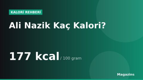 Ali Nazik Kaç Kalori? 100 Gram ve 1 Porsiyon Ali Nazik Besin Değerleri