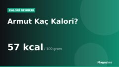 Armut Kaç Kalori? 100 Gram ve 1 Porsiyon Armut Besin Değerleri