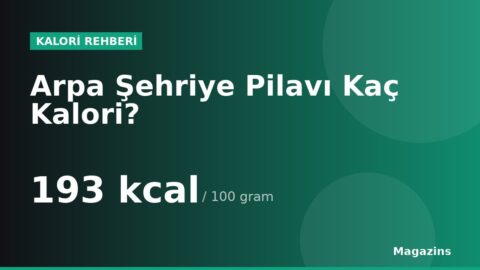 Arpa Şehriye Pilavı Kaç Kalori? 100 Gram ve 1 Porsiyon Arpa Şehriye Pilavı Besin Değerleri