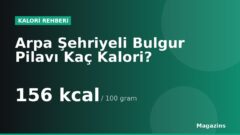 Arpa Şehriyeli Bulgur Pilavı Kaç Kalori? 100 Gram ve 1 Porsiyon Arpa Şehriyeli Bulgur Pilavı Besin Değerleri