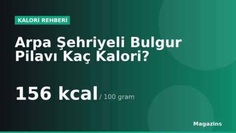 Arpa Şehriyeli Bulgur Pilavı Kaç Kalori? 100 Gram ve 1 Porsiyon Arpa Şehriyeli Bulgur Pilavı Besin Değerleri