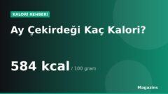 Ay Çekirdeği Kaç Kalori? 100 Gram ve 1 Porsiyon Ay Çekirdeği Besin Değerleri