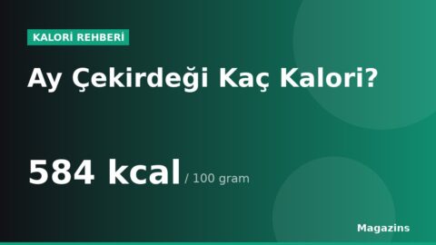 Ay Çekirdeği Kaç Kalori? 100 Gram ve 1 Porsiyon Ay Çekirdeği Besin Değerleri