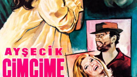 Ayşecik Cimcime Hanım (1964) Filmi Konusu ve Oyuncuları – Full İzle