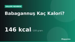 Babagannuş Kaç Kalori? 100 Gram ve 1 Porsiyon Babagannuş Besin Değerleri