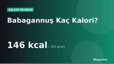 Babagannuş Kaç Kalori? 100 Gram ve 1 Porsiyon Babagannuş Besin Değerleri