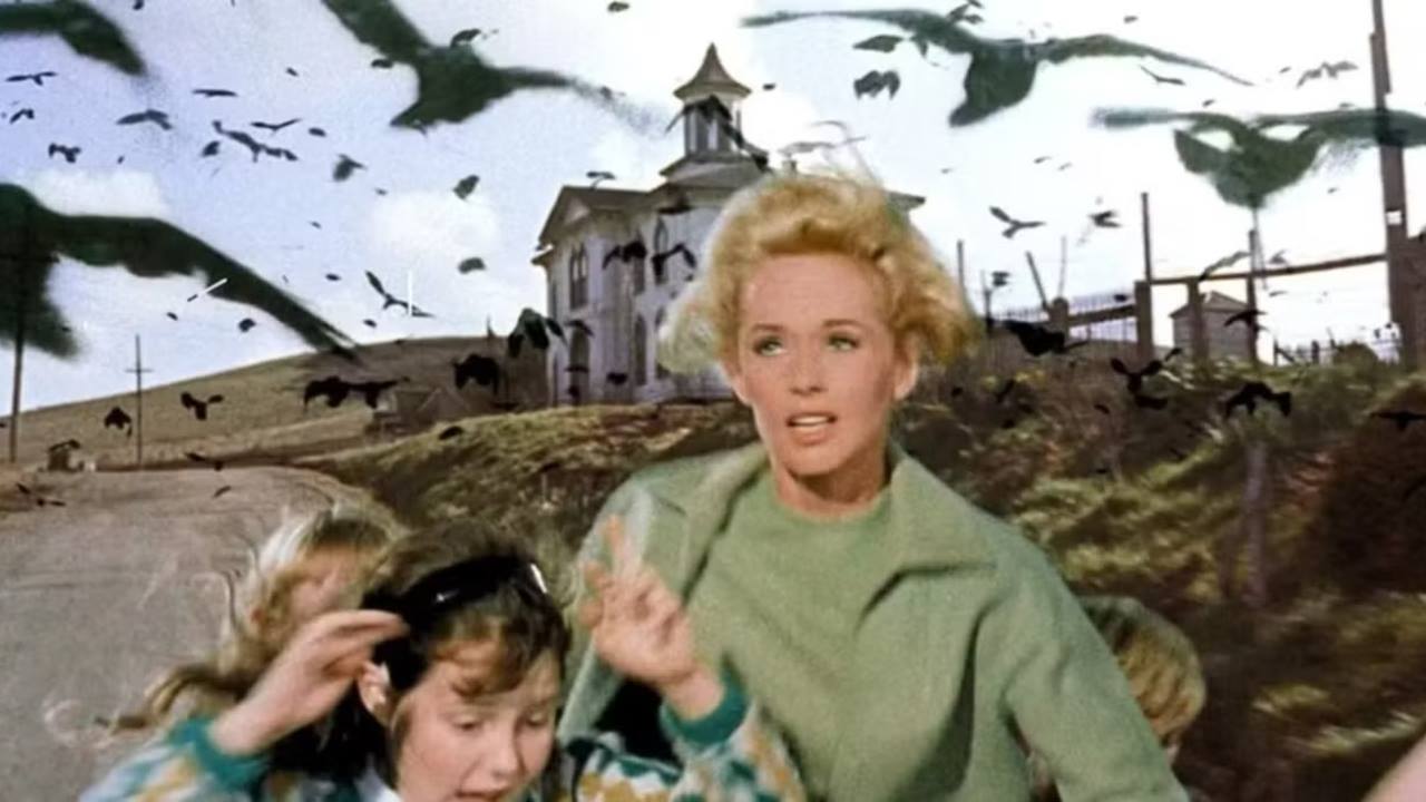 The Birds Dizi Uyarlama HBO