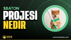 Baton Coin BATON nedir? İşte merak edilenler