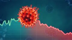 Bir ülkede Ebola virüsü nedir? İşte ayrıntılar
