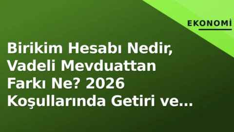 Gündemdeki konu Birikim Hesabı: nedir?