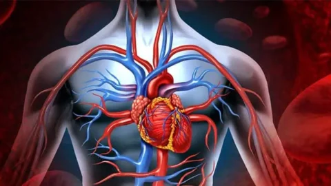 Gündemdeki konu Damar Sağlığını Koruyan 5 Besin: nedir?