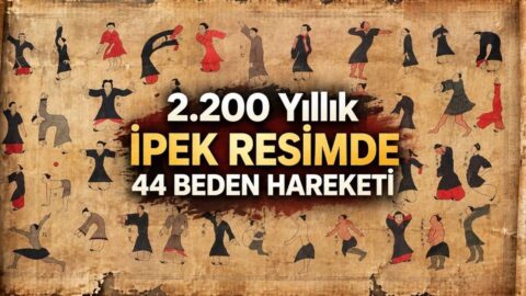 Daoyin Tu hakkında merak edilenler: nedir?
