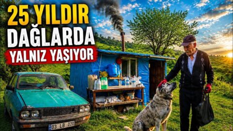 Doğal Hayatlar Belgeseli: Konusu, Kanalı ve Tüm Bölümleri