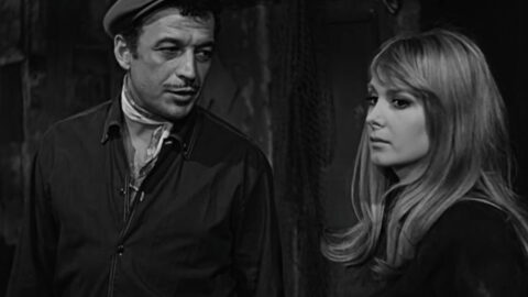 Efkârlıyım Abiler (1966) Filmi Konusu ve Oyuncuları – Full İzle