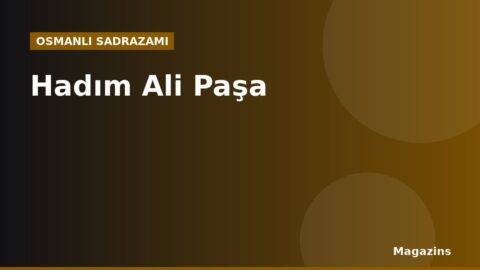 Hadım Ali Paşa Kimdir? Hayatı, Sadrazamlığı ve Dönemin Önemli Olayları