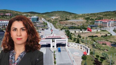 Hülya Şimşek kimdir? Prof. Dr Hülya Şimşek hakkında bilinenler