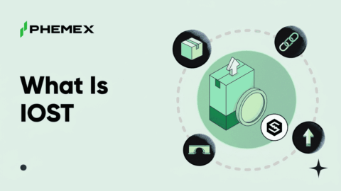 IOST (IOST) Nedir? Tokenizasyon İçin Bir Layer 1 Blok Zinciri