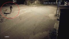 Motosikletle gelip köpeği çalan hırsızlara sitem: “Köpek çalmak nedir”