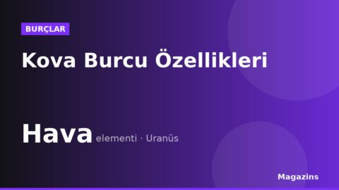 Kova Burcu Özellikleri: Kova Burcunun Elementi, Uğurlu Sayısı ve Uyumlu Burçları