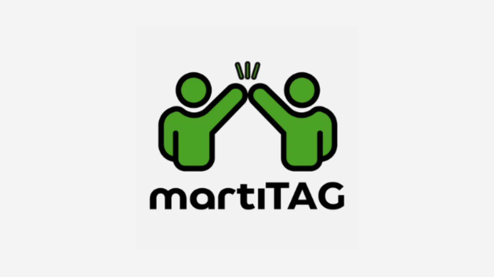 Martı TAG - 2