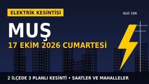 Muş’ta yarın elektrikler kesilecek! 17 Ekim Cumartesi VEDAŞ kesinti listesi ve saatleri