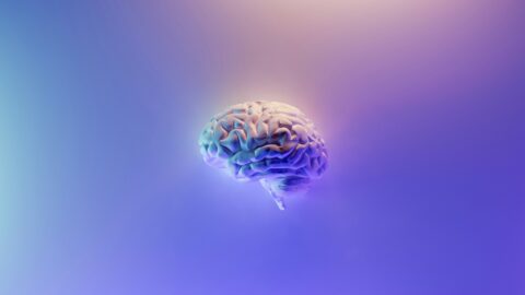 Beyin çipi ne işe yarar? Neuralink nedir?