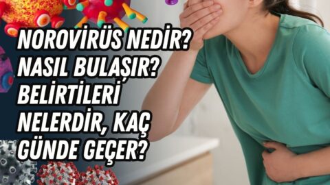 Norovirüs nedir, nasıl bulaşır? Belirtileri nelerdir, kaç günde geçer?