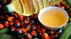 Palm Yağı Nedir, Zararlı mı? Hangi Gıdalarda Bulunuyor?