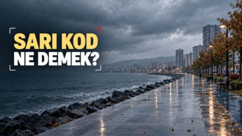 Gündemdeki konu Sarı kod: nedir?
