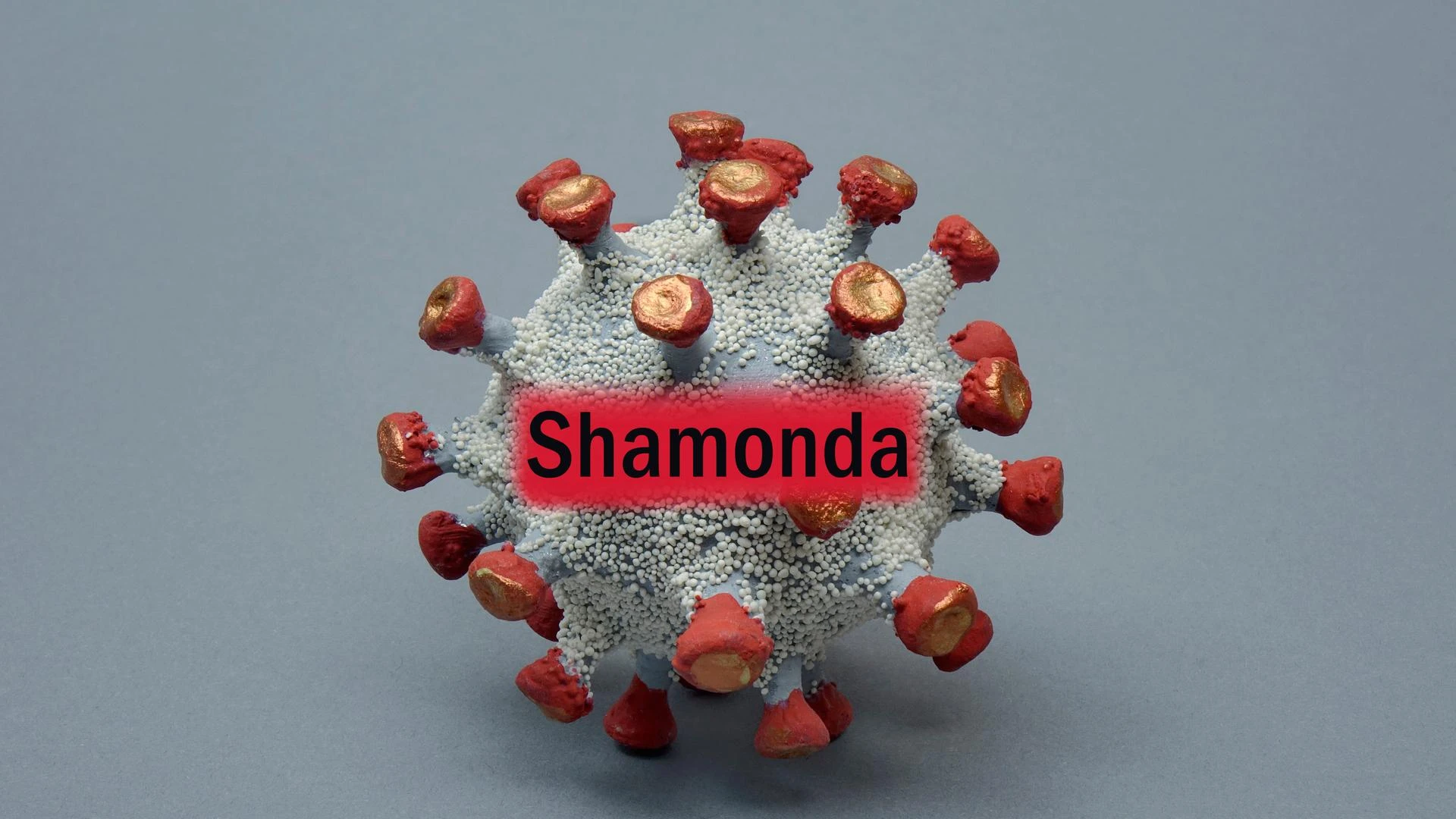 Shamonda virüsü - 7