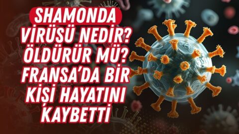 Shamonda virüsü nedir, öldürür mü? Fransa’da bir kişi hayatını kaybetti