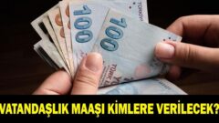 Vatandaşlık hakkında merak edilenler: serveti ne kadar?