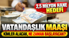 Vatandaşlık hakkında merak edilenler: serveti ne kadar?