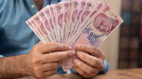 Vatandaşlık hakkında merak edilenler: serveti ne kadar?