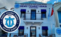 Yapay zekâ halüsinasyonu nedir? Yanlış bilgi nasıl ayırt edilir?