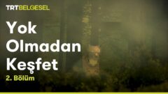 Yok Olmadan Keşfet Belgeseli: Konusu, Kanalı ve Tüm Bölümleri