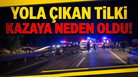 Yola Çıkan Tilki Kazaya neden öldü? İşte hayatı ve kariyeri