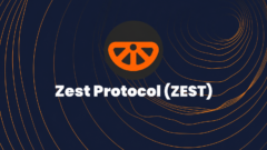 Gündemdeki konu Zest Protocol ZEST: nedir?