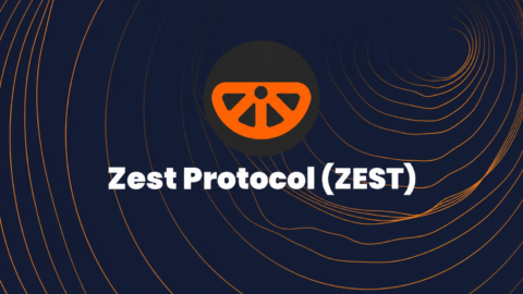 Gündemdeki konu Zest Protocol ZEST: nedir?